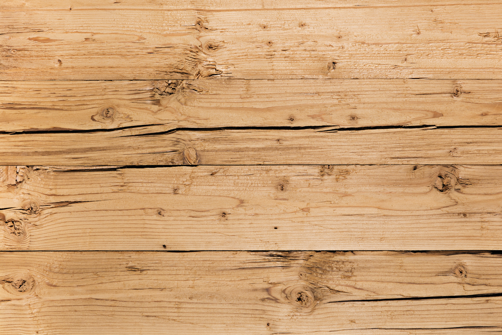 Wandverkleidung Fichte Hubertus