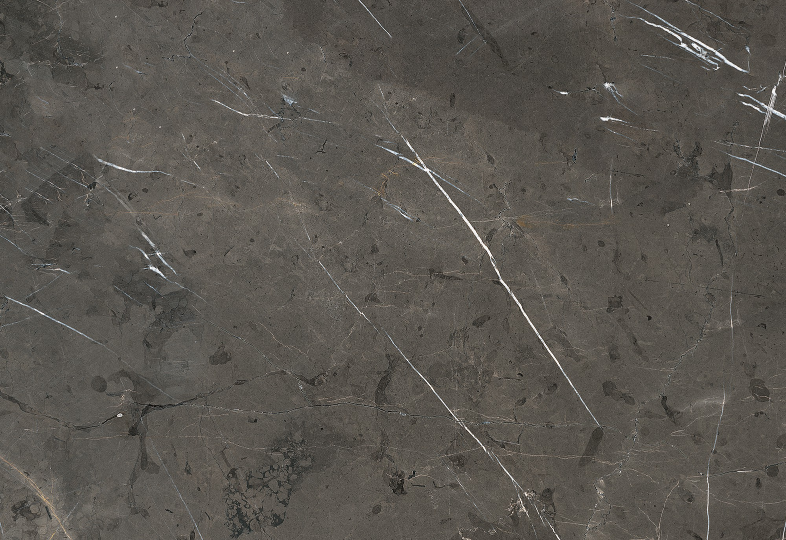 Wand-Designplatte K026 Grey Pietra Marble, PT peetha, nassraumgeeignet