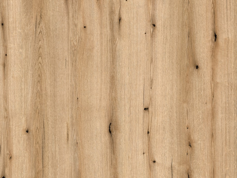 Wand-Designplatte K365 Coast Evoke Oak, FN flanders oak, nassraumgeeignet